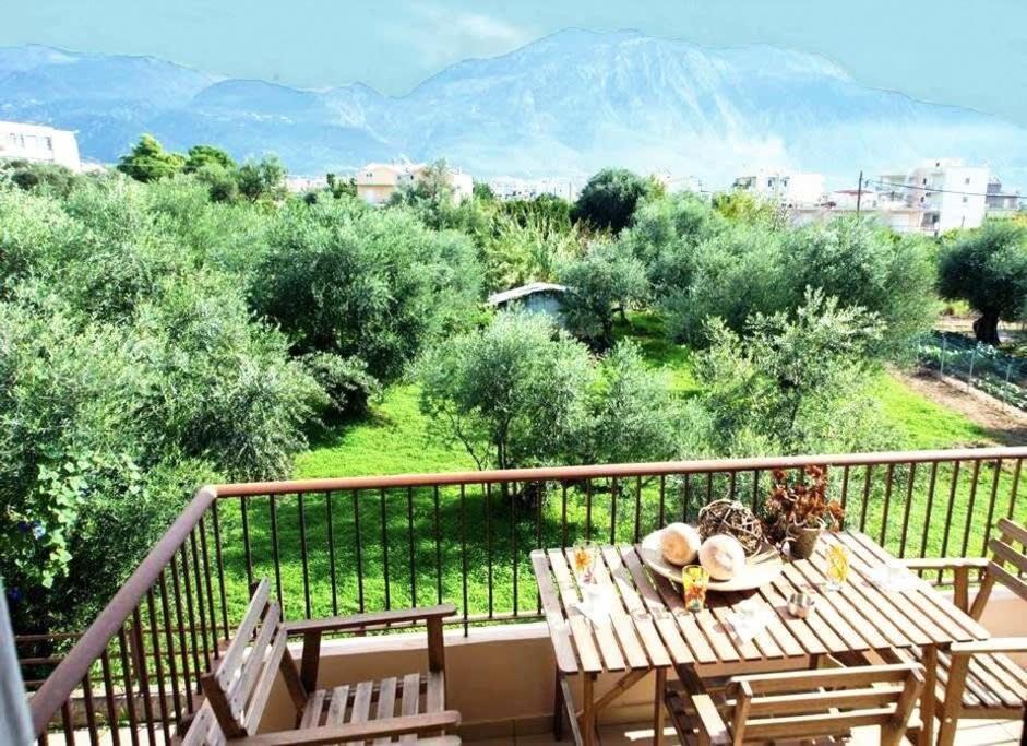 Amalia'S Serendipity - City Lights & Mountain Vistas Kalamata Exterior foto